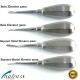 Root Elevators Set of 4 pcs Bayonet Distal Bein Oral Surgery PDL Luxating