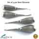 Root Elevators Set of 4 pcs Bayonet Distal Bein Oral Surgery PDL Luxating