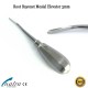 Root Elevators Set of 4 pcs Bayonet Distal Bein Oral Surgery PDL Luxating