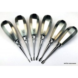 6 Pcs Dental Root Elevators Winged Oral Surgery PDL Luxating Tooth loosening