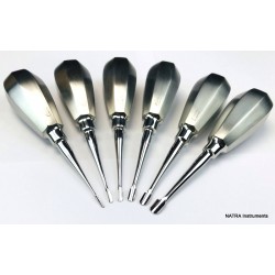 6 Pcs Dental Root Elevators Winged Oral Surgery PDL Luxating Tooth loosening