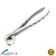 Extracting Forceps Nr. 86C Tooth Root Jaw Molars Dental Oral Extraction Pliers