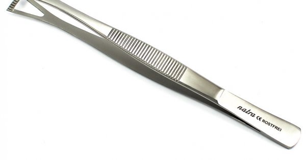 Black Color Piercing Septum Forceps 15.5 Cm Stainless Steel Rust Proof