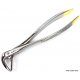 Extracting Forceps Nr. 74 N Tooth Root Jaw Molars Dental Oral Extraction Pliers Extracting Forceps Nr. 74 N Tooth Root Jaw Molars Dental Oral Extraction Pliers