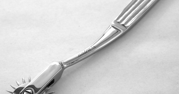 Ruota Sensi Diagnostica Girandola Diagnostica Wartenberg - Strumento Neurologico Per Esame Dei Sensi, In Acciaio Ruota Di Wartenberg