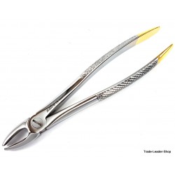 Extracting Forceps Nr. 7 Tooth Root Jaw Molars Dental Oral Extraction Pliers